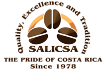 Salicsa